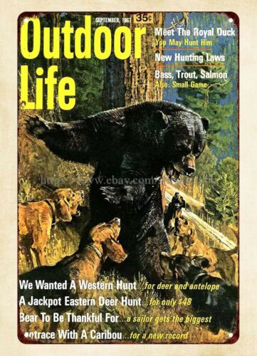 Hunting Dog Outdoor - декор для офисной стены 1967 Уличная