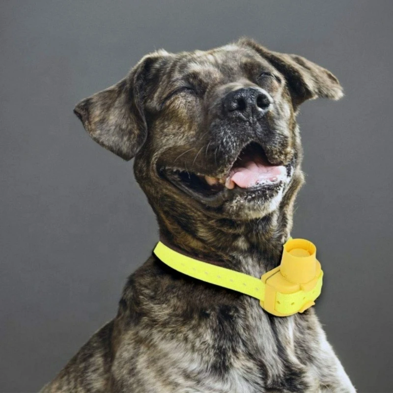 Outdoor Hunting Dog Collar - Обновленные водонепроницаемые ошейники-биперы для охотничьих собак,