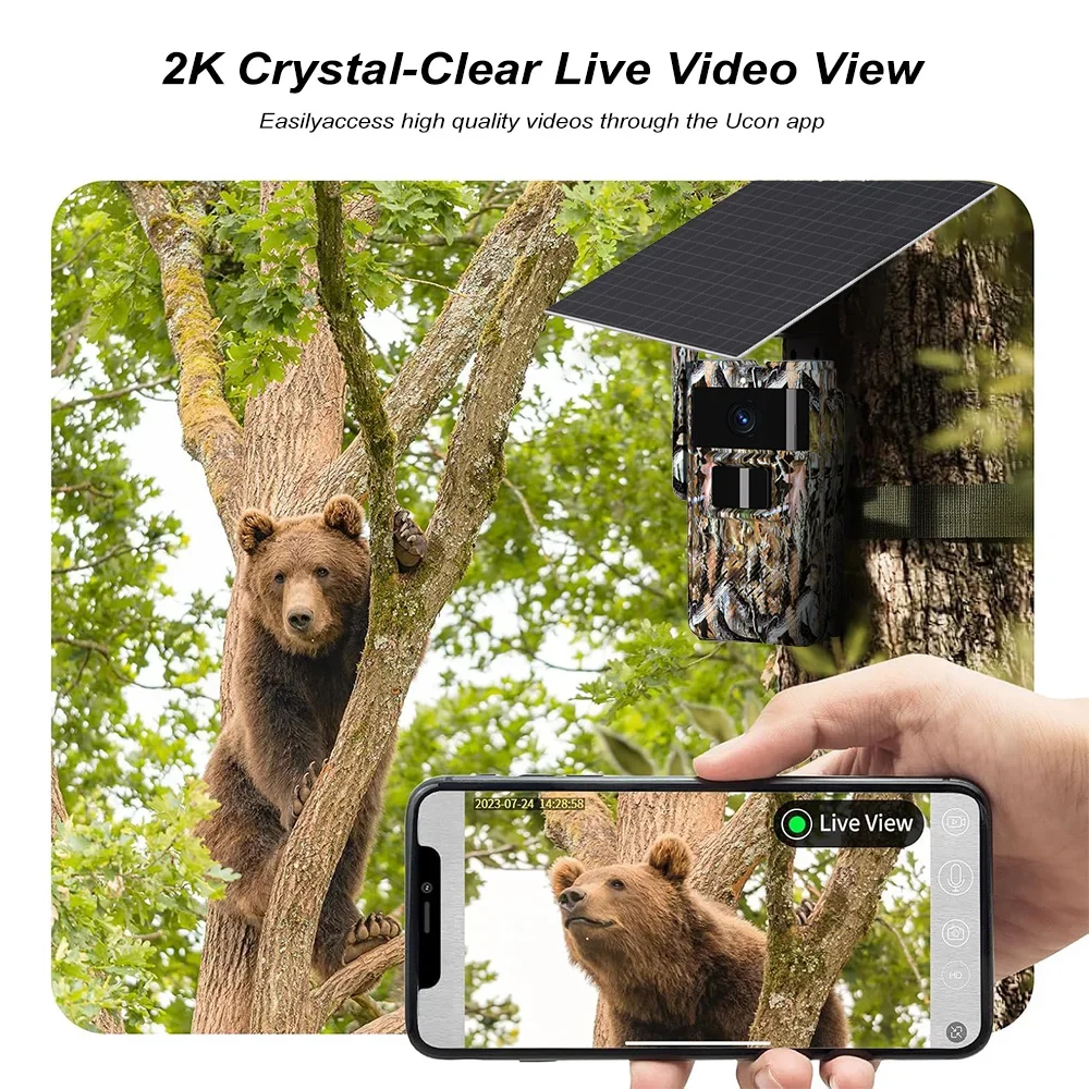 PEGATAH 4G камера следа на сол – обзор и цена Outdoor Hunting Pictures