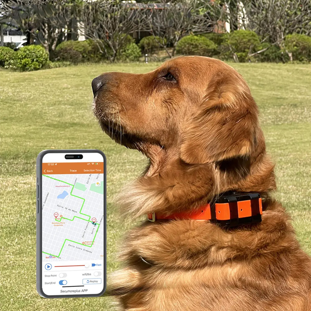 CY09A Портативный GPS-трекер д – обзор и цена Outdoor Hunting Dog Collar