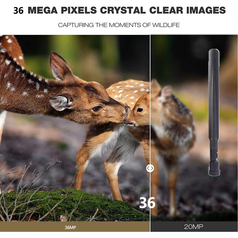 Камера для охоты на открытом в – обзор и цена Outdoor Hunting Pictures