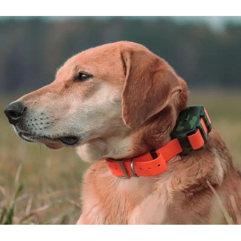 GPS-трекер ICAR IK122M 2000 мА – обзор и цена Outdoor Hunting Dog Collar